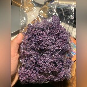 Purple Dried Moss